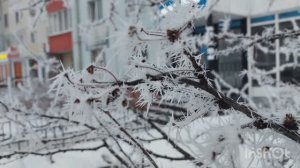 Белая роскошь зимы
