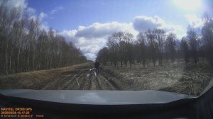 FILE250329-151555-000441