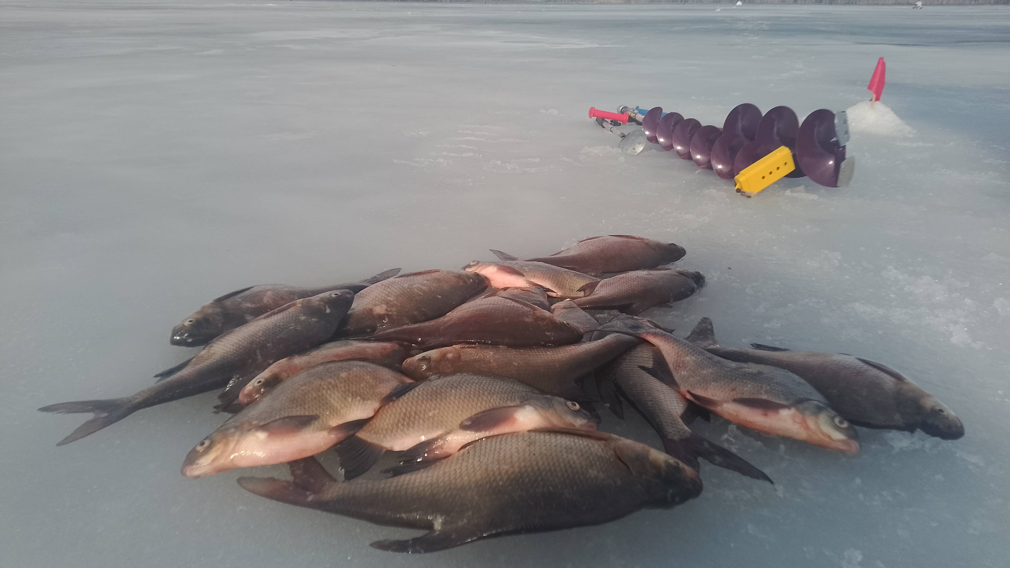 рыбалка 26.03.25 Белоярское водохранилище, 3-я заводь