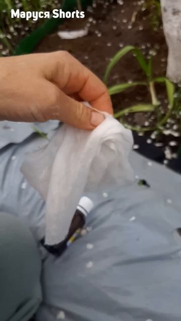 ОНИ УЖЕ НЕ ВЕРНУТЬСЯ НА ОГОРОД смотреть онлайн