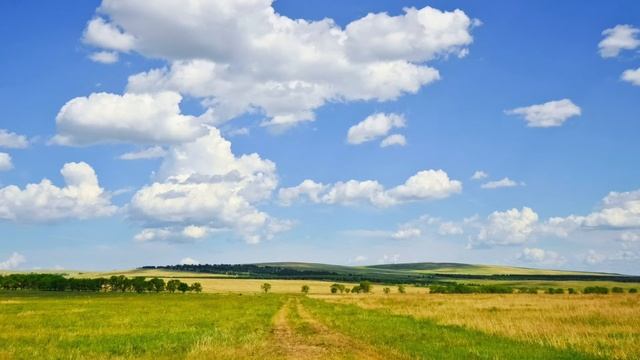 Арман Оганесян   Yerevan смотреть онлайн