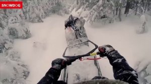 50 НОВЫХ ИННОВАЦИЙ 2024 ГОДА, КОТОРЫЕ ВАС ПОРАЗЯТ