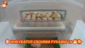 Инкубатор своими руками из подручных материалов и результат инкубации🥚🐣🐤 вариант (18)