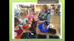 Огород на подоконнике