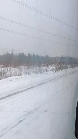 Дорога домой