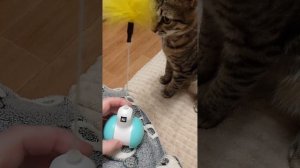 Митина новая😄