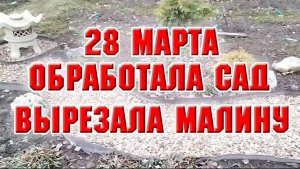 28 марта. Обработала сад. Вырезала малину