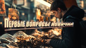 Ответ на самые частые вопросы новичка