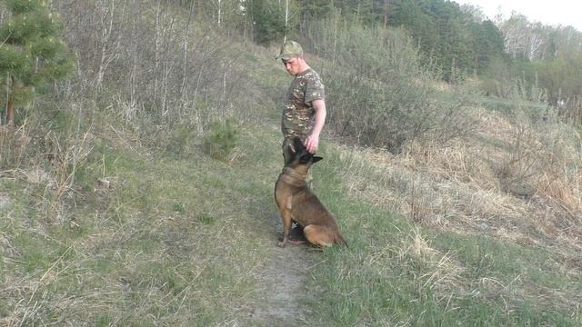 383. Сохранение позиции. смотреть онлайн