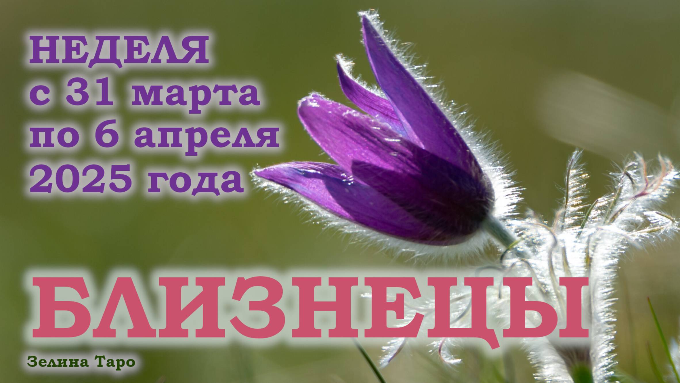 БЛИЗНЕЦЫ | ТАРО прогноз на неделю с 31 марта по 6 апреля 2025 года