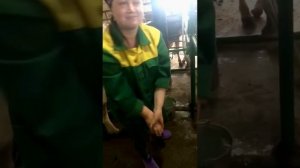 Работники сельского хозяйства село Расковка Воронежская обл #доярка #коровы #ферма #колхоз #расковк