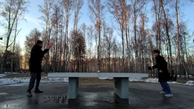 Теннис