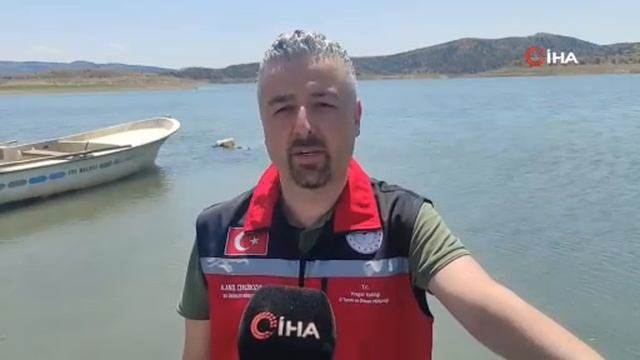 Çekerek Barajı'na 800 Bin Yavru Sazan Bırakıldı: Su Kaynakları Zenginleşiyor! смотреть онлайн