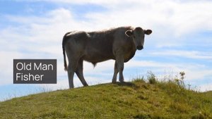 Old Man Fisher Living in the Daintree Rainforest