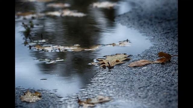 Самое_лучшее_исполнение_песни__Мой_милый__что_тебе_я_сделала