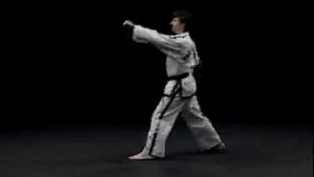 8 гып, Дан Гун желтый Dan Gun Tul со спины тхэквондо taekwondo таэквондо смотреть онлайн