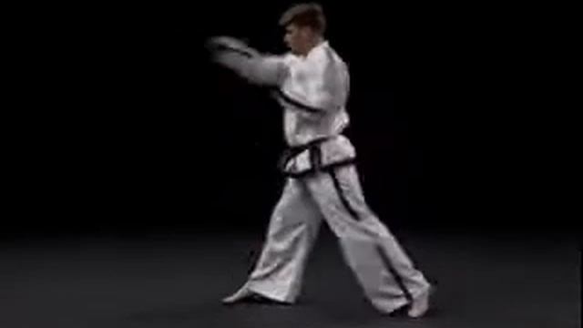 6 гып, зеленый поям, До-сан (Do San) со спины тхэквондо taekwondo таэквондо смотреть онлайн