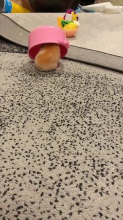 🐹