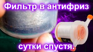 Фильтр в антифриз, сутки спустя.