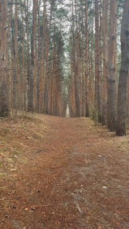 Чудесные тропы Кисловодского парка путешествие в мир местных жителей