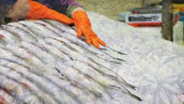 Почему Гавайи стали местом для самых богатых