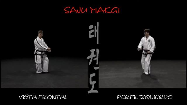 10 (2) гып, Саджу-Макги (Saju-Makgi), на белый пояс 2 комплекс в тхэквондо taekwondo таэквондо смотреть онлайн