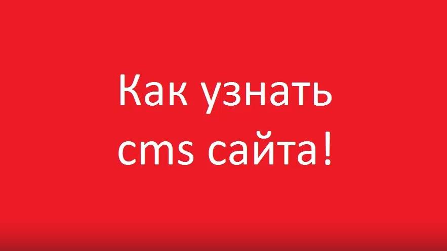 Как узнать на какой cms работает сайт смотреть онлайн