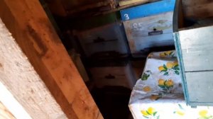 Выставили стационарную пасеку 29 марта. Снега еще на точкн много.