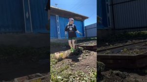 Новые грядки #уралочка #огород #грядки