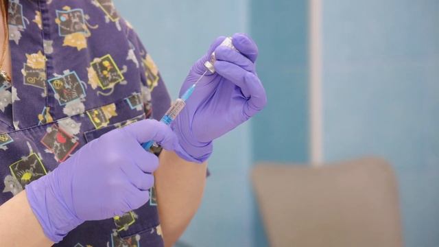 Ветеринарная клиника Адмиралтейского района расширяет спектр услуг