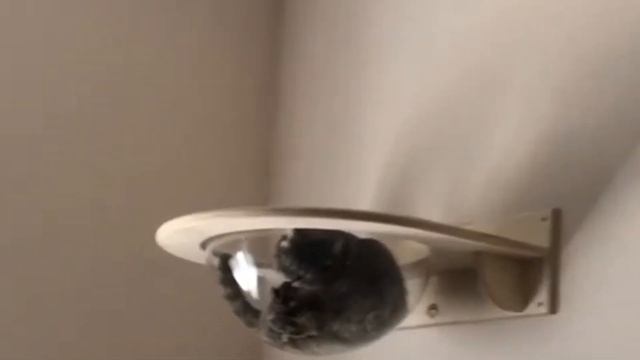 гамак тоумей