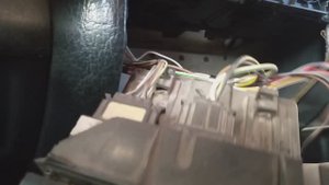 ПОКОРМИЛ КРОТА