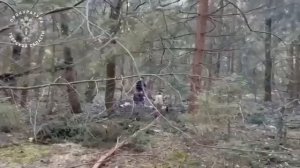 В Тверской области мигранты изнасиловали и зверски убили 13 летнюю школьницу