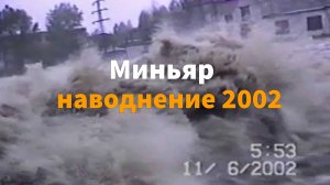 Миньяр 2002