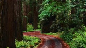 Василий Кабалин "Без тебя весь мир стал неправильным"