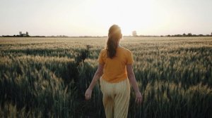 4524598-hd_1920_1080_25fps