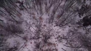 Снежные бураны *Утренняя Звезда* Виктор Щёкин