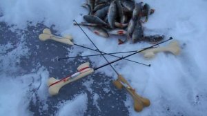 07.02.2025. Камышинка. Ловля окуня на торпедки Рагузина.