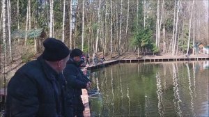 Сегодня поклёвок больше на "крымском". Клёвое место, Лосиный остров, спорт-зона.