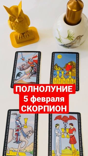 Полнолуние 5 февраля СКОРПИОН