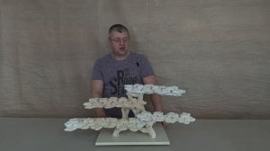 ДТФ-10 Декорация-трансформер из биокерамики для морского аквариума.