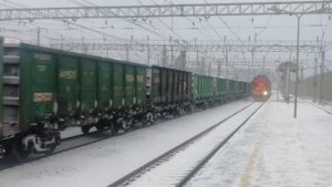 2ТЭ116УД-012 грузовой поезд ВЛ10-1202 грузовой поезд Вокзал Мга
