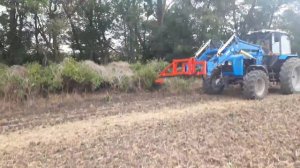 Обрезчик деревьев GREEN LINE 185