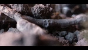 LPS сериал: "RIPPER" 4 episode