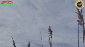 Удачная охота на ГУСЯ