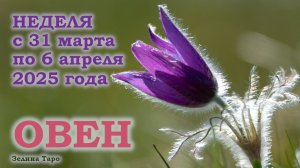 ОВЕН | ТАРО прогноз на неделю с 31 марта по 6 апреля 2025 года