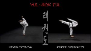3 гып, Юль Гок, сине-красный, Yul Gok тхэквондо taekwondo таэквондо комплекс
видео