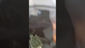 у меня появился черепаха
