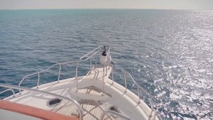 7333913-hd_1920_1080_30fps