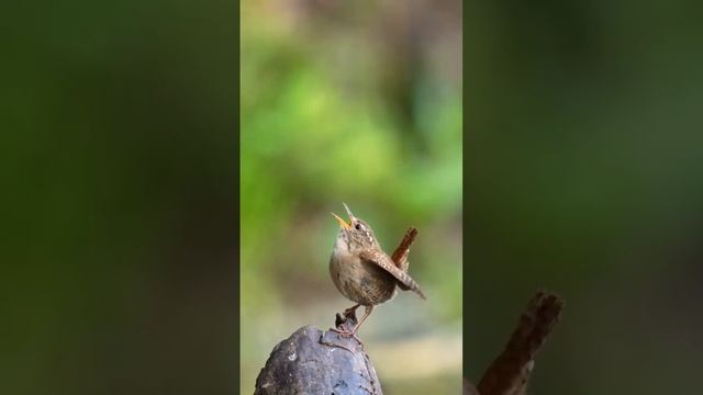 Хороших выходных!!! смотреть онлайн